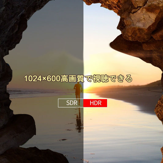 12.6型 ポータブル DVDプレーヤー 液晶 大画面 4時間連続再生 CPRM対応 Hi-Fiスピーカー搭載 リージョンフリー AV入出力